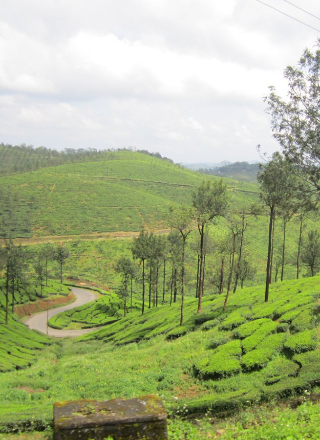 Kuttikanam1