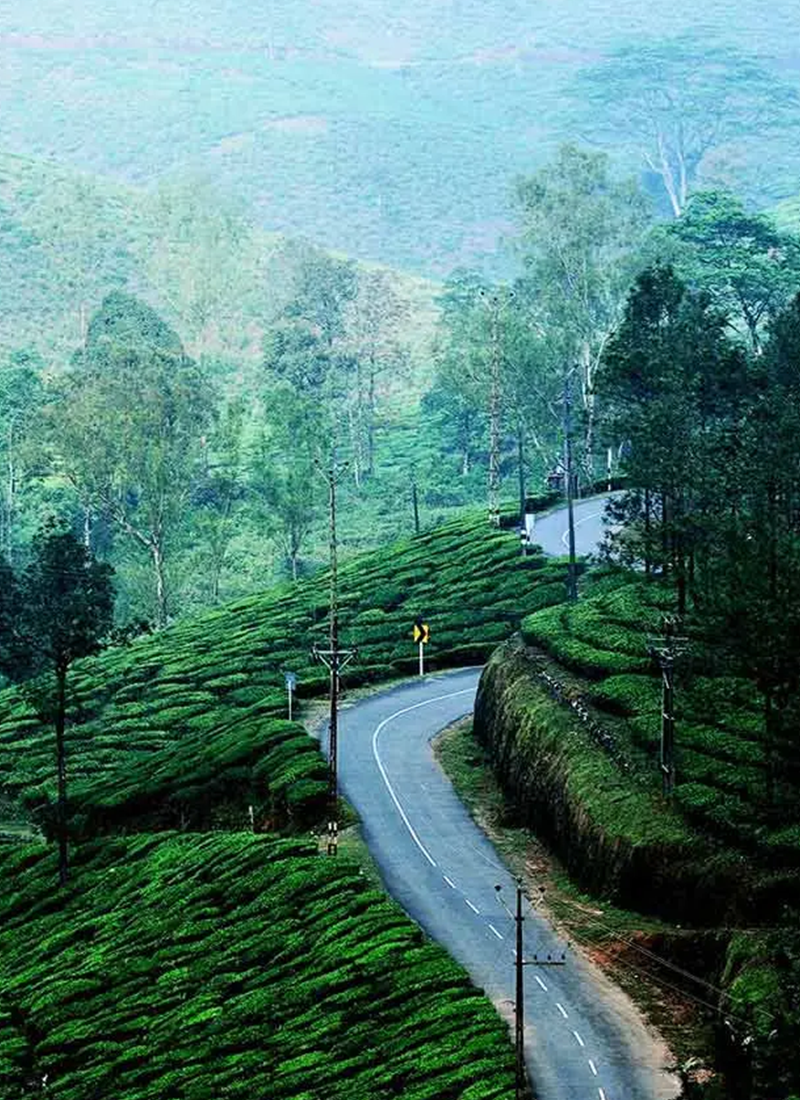 Kuttikanam3