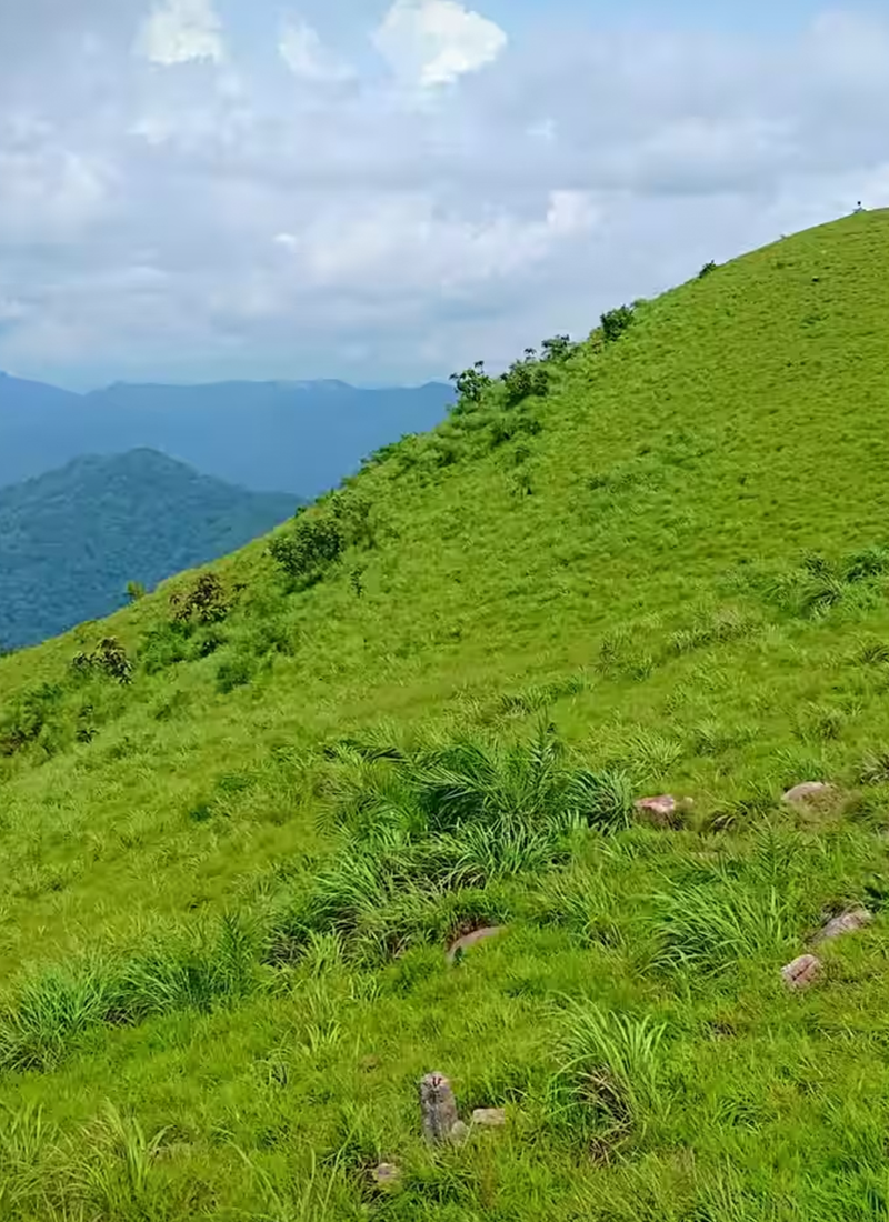 Parunthumpara2